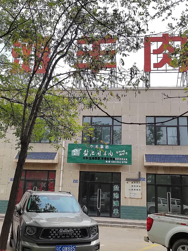 池滩羊哪个品牌质量最好？MG不朽情缘正版正宗盐